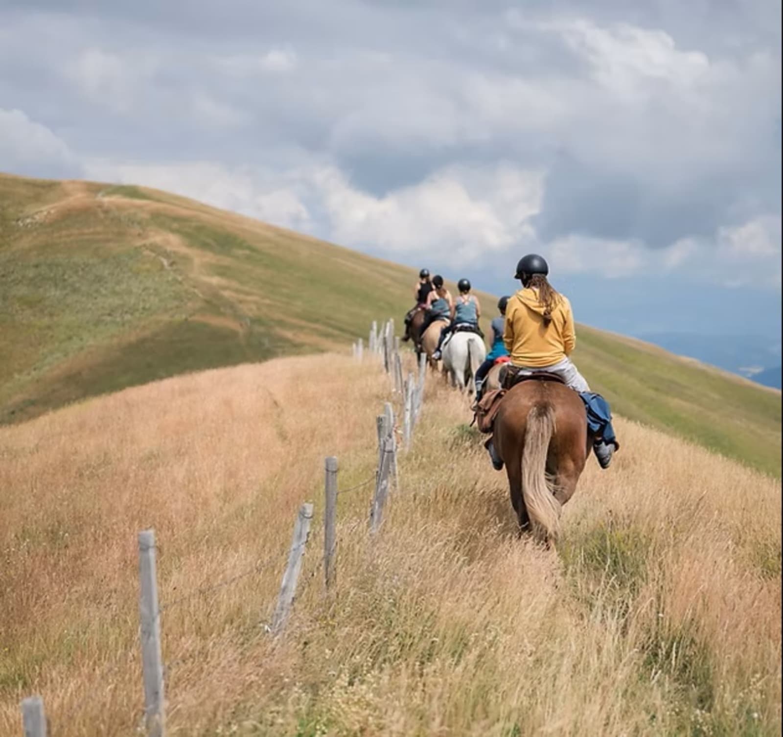 Randonnée à cheval sur une crête herbeuse au-dessus du vallon