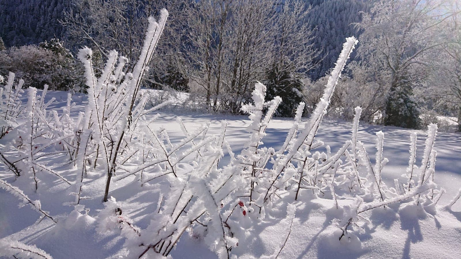 Le vallon de la Jarjatte sous la neige